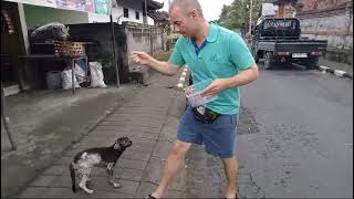 Treating Street dog for Mange itchy skin problems with 110th XL Simparica and 14 Mectin [upl. by Atik]