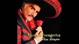 Vicente Fernandez  La Derrota [upl. by Ollehcram886]