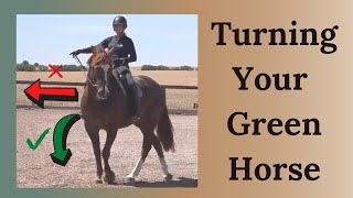 How To Steer A Horse That Is Green [upl. by Nail]