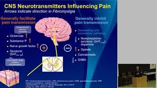 Seminar om fibromyalgi og kroniske smerter  Behandling og rehabilitering 2 [upl. by Rafaelia]