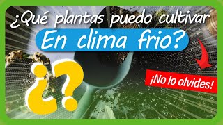 Qué PLANTAS puedo CULTIVAR en mi HUERTA de clima FRÍO [upl. by Barbaresi301]