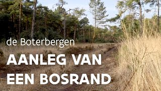 Aanleg van een nieuwe bosrand in de Boterbergen  Natuur en Bos [upl. by Aicitel]