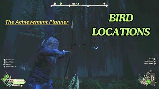 Robin Hood Sherwood Builders  BIRD LOCATIONS  quotOrnithophobiaquot achievement [upl. by Elbert380]