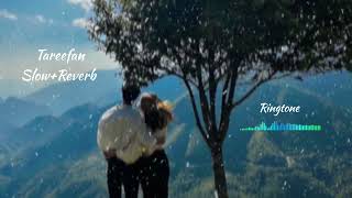 Tareefan Punjabi Song SlowedReverb Ringtone Lofi Harnoor Punjabi Song [upl. by Eilegna]