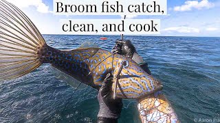 CRAZY FISH SPEARFISHING HAWAII  broomfish catch clean cook [upl. by Asinet]