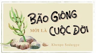 Sách nói Bão Giông Mới Là Cuộc Đời  Chương 1  Khenpo Sodargye [upl. by Biddie]