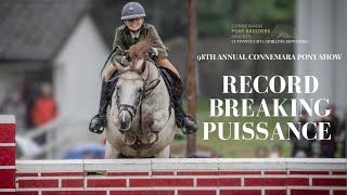 RECORD BREAKING PUISSANCE JUMP  98th Connemara Pony Show [upl. by Jevon674]