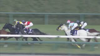 2019 Takamatsunomiya Kinen G1 [upl. by Bethena]