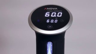 Anova Precision Cooker for Sous Vide Ultimate Indepth Look [upl. by Kirred]