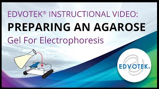 Preparing an Agarose Gel For Electrophoresis  Edvotek Video Tutorial [upl. by Inahpit941]