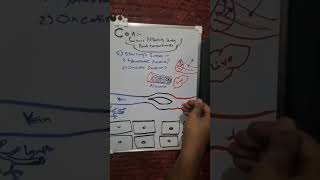 Capillary net filtration  Hydrostatic pressure and oncotic pressure  شرح مادة الفيسيولوجي بالعربي [upl. by Allenad]