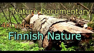 Nature DocumentaryVaellusvideo paikassa Nokia Siuro Ruutana [upl. by Garceau]