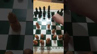 Sicilian Defense Dragon Variation chess learnchesstrapin30seconds [upl. by Ras]