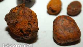 Ox gallstones compra venta calculos biliares bilis argentina [upl. by Aleciram]