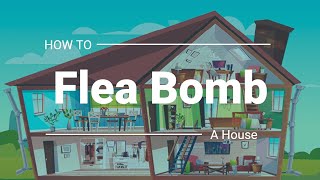 Step by Step instructions to Flea Bomb your house  The Guardians Choice [upl. by Lally354]