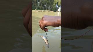 Attractive Jihad Big Plastic Bottle Hook Fishing Videoamazinghookfishingplasticbottleshorts [upl. by Ennyrb570]