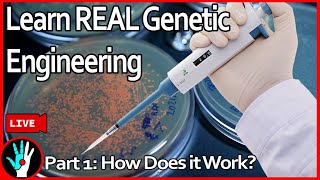 LIVE Learn Genetic Engineering  Part 1 How does it work [upl. by Reedy]