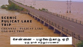 Pulicat Lake Tour  Chennai to Pulicat Lake AP One Day Trip  Scenic Route [upl. by Tnomal311]