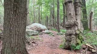 630 am walk from campsite in Wompatuck State Park in Massachusetts just south of Boston [upl. by Juline497]