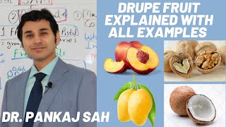 FRUITS PART 3 DRUPE FRUIT TYPE Explained in Detail with All Examples [upl. by Uah]