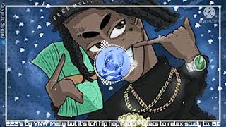 223s by YNW Melly but its lofi hip hop radio  beats to relax study to 8D audio  Wear 🎧 [upl. by Reine]