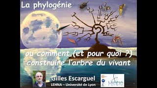 La Phylogénie ou comment et pour quoi construire larbre du vivant [upl. by Wilbur]