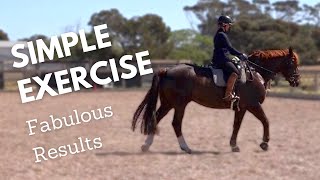 How To School A Horse  The Easiest Exercise Ever [upl. by Pitchford809]