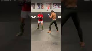 Edson Barboza VICIOUS KICKS In Training [upl. by Johannessen568]