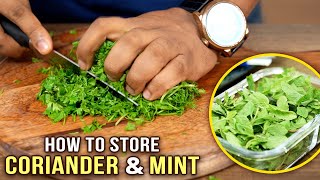 How To Cut amp Store Coriander amp Mint Leaves  Ways To Clean Coriander amp Mint Leaves  Basic Cooking [upl. by Rialb324]