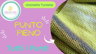 Punto Pieno Gobelin  TUTTI I PUNTI TUNISINI [upl. by Anigal]