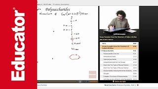 Disaccharides Structure and Polysaccharides Overview  Biochemistry Tutorial [upl. by Hornstein]