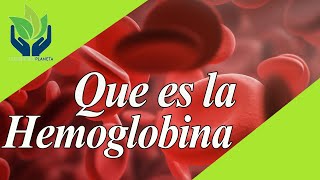 Hemoglobina qué es cómo funciona valores [upl. by Philina]