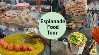 Esplanade Food Tour  Kolkatas Street Food amp Shopping Paradise 🔥  New market Street Food [upl. by Chisholm]