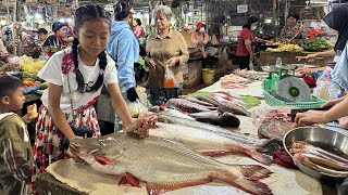 Market show  Chef pich buy big river fish and some ingredients for cooking  Cooking with Sreypich [upl. by Lladnik]