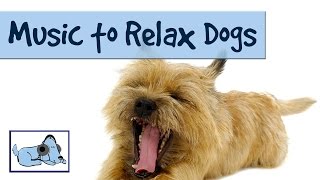 MUSIC TO RELAX DOGS  TRY IT ON YOUR DOG AND WATCH RelaxMyDog 🐶 RMD01 [upl. by Yllitnahc623]