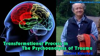 Transformational Process in the Psychoanalysis of Trauma by Donald Kalsched  part 1 [upl. by Gilmer]