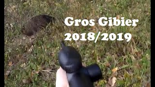 Saison 20182019  Gros Gibiers Sanglier amp Chevreuil [upl. by Walkling]