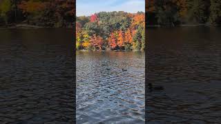 Bond Lake in Autumn [upl. by Surovy]