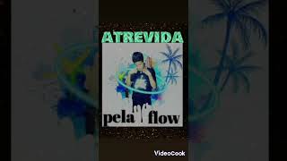 ATREViDA pela flow vol1 [upl. by Ylle]