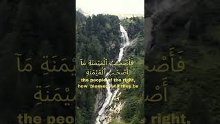 Surah AlWaqiah  Zain Abu Kautsar [upl. by Jodi]