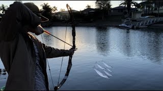 BOWFISHING mullet Catch n Cook [upl. by Heidie]