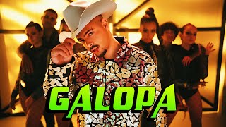 PEDRO SAMPAIO  GALOPA COREOGRAFIA OFICIAL  Música Novas As Mais Tocadas [upl. by Anolla]