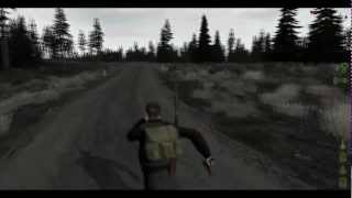 DayZ  NVIDIA GeForce GTS 450 1GB KFA 2 OverClocked Series [upl. by Siednarb114]