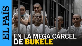 EL SALVADOR  Dentro del CECOT la cárcel de pandilleros de Bukele  EL PAÍS [upl. by Ondine]