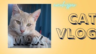 Cat vid coco’s and max’s tober vid [upl. by Chantal]