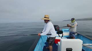 Tom Hryniuk Cedros Sportfishing July 2023 [upl. by Isabel]