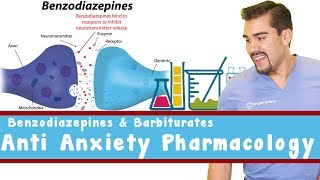 Anti Anxiety Pharmacology Benzodiazepines and Barbiturates [upl. by Hanonew]