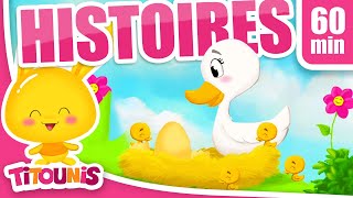 Le vilain petit canard HISTOIRES TITOUNIS [upl. by Tarton387]