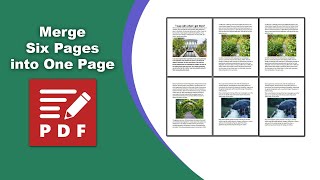 How to turn 6 pages into 1 page in PDFXChange Editor [upl. by Ijuy]