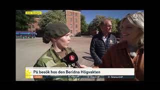 Beridna Högvakten bakgrund 2024 [upl. by Anide]